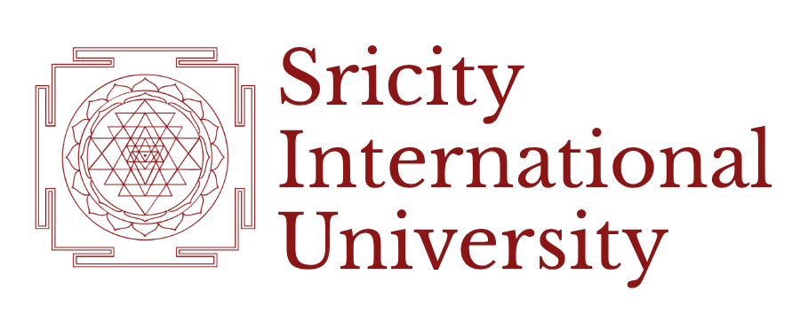 Sricity International University