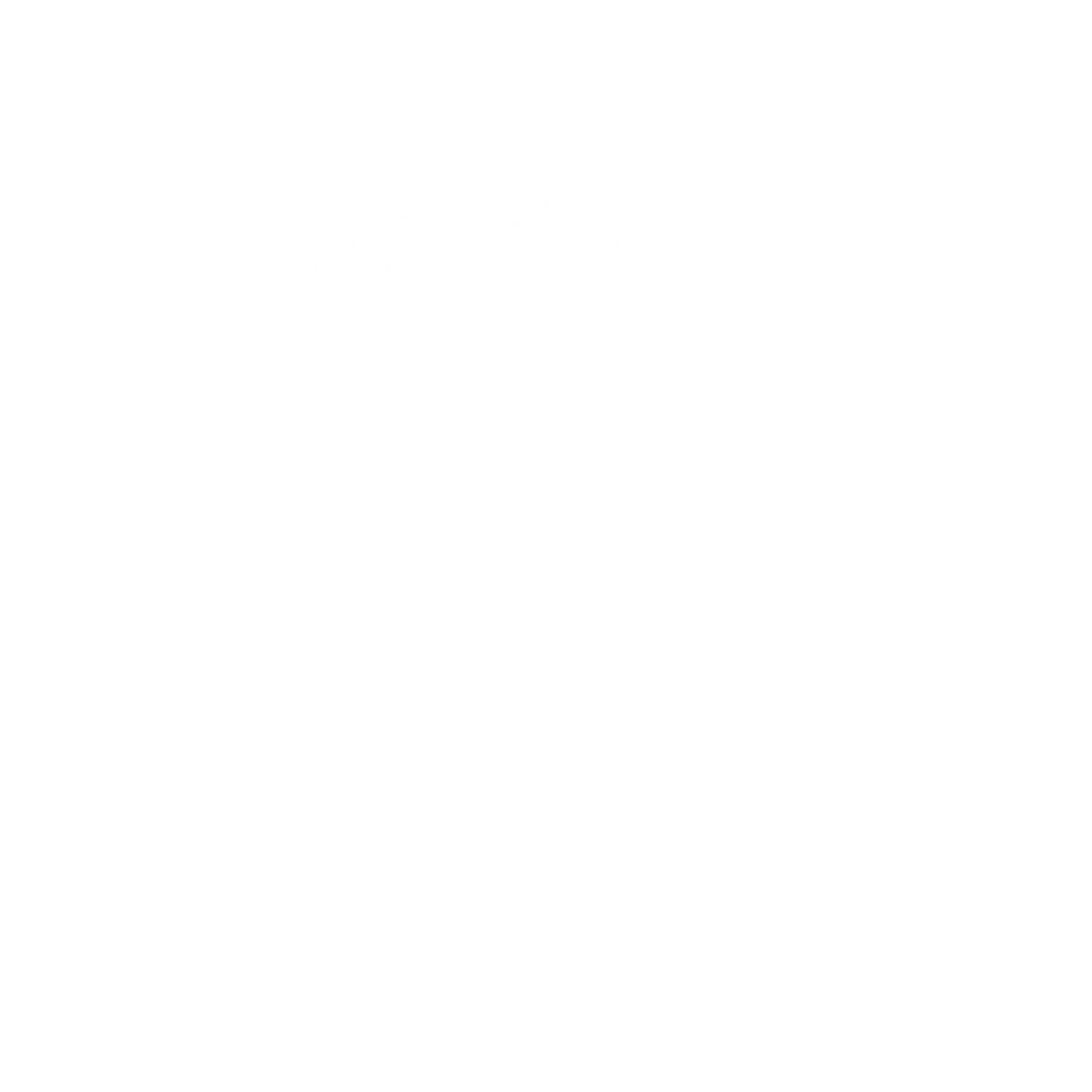 Watermark