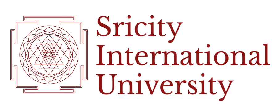 Sricity International University