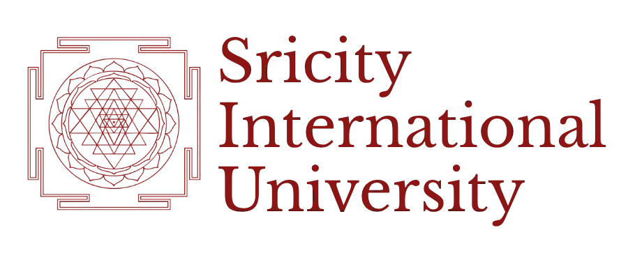 Sricity International University