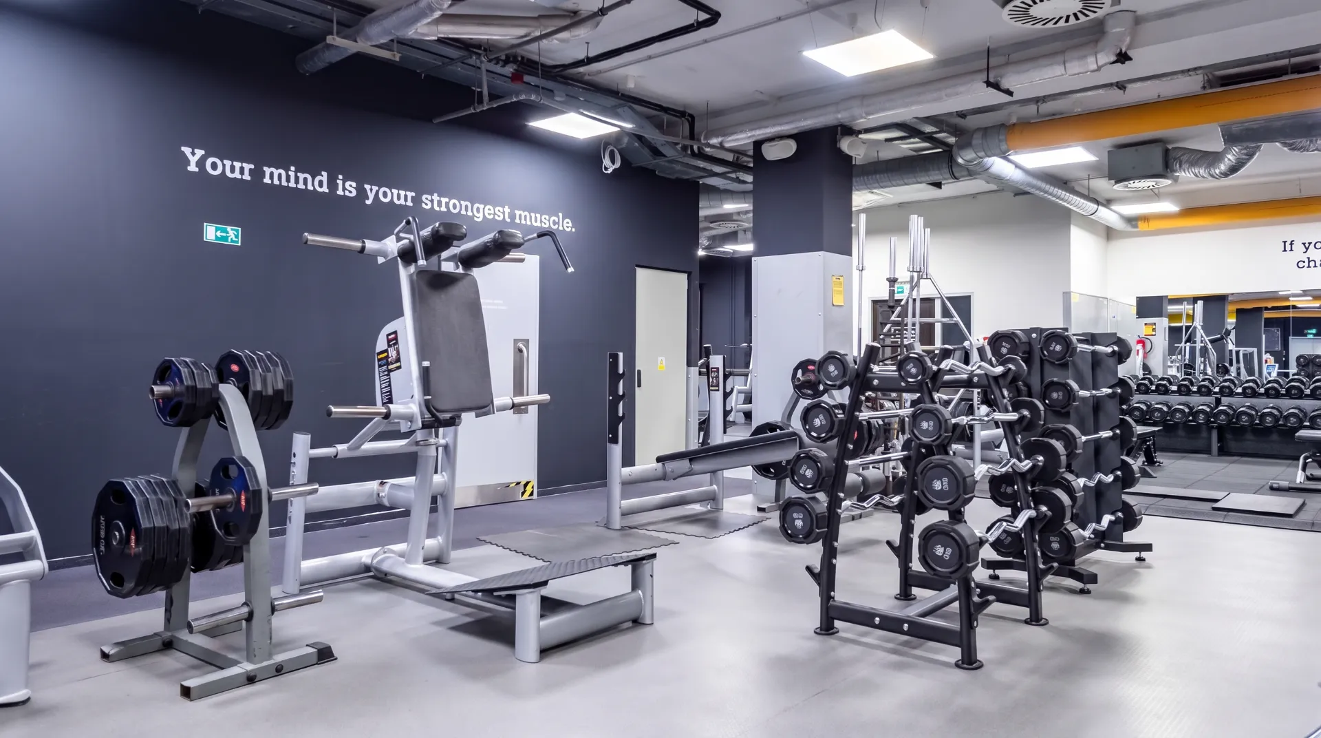 Gym & Fitness Facilities