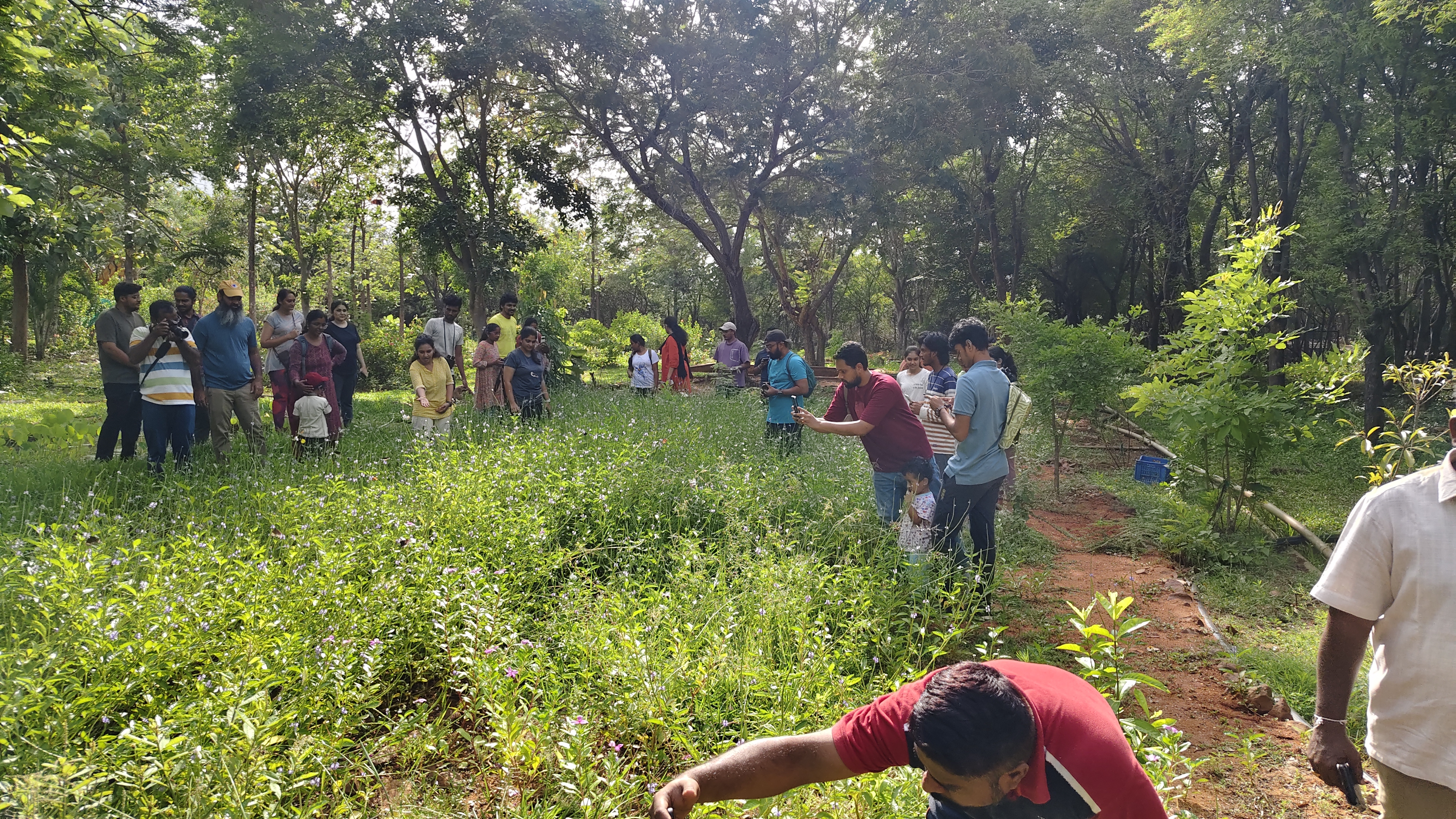 Volunteers planting trees